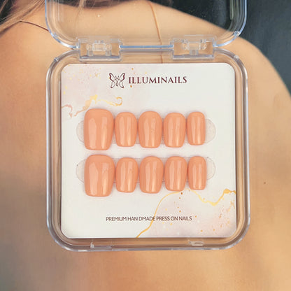 M23 Apricot Glow (solid collection -1)